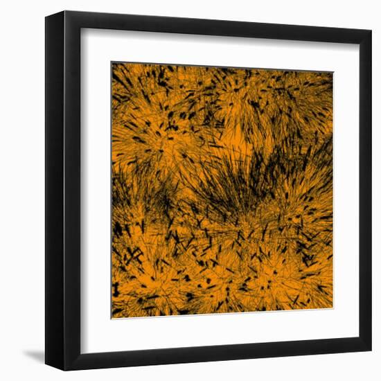 Grass (orange), c.2011-Davide Polla-Framed Premium Giclee Print