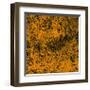 Grass (orange), c.2011-Davide Polla-Framed Premium Giclee Print