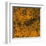 Grass (orange), c.2011-Davide Polla-Framed Premium Giclee Print