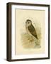 Grass Owl, 1891-Gracius Broinowski-Framed Giclee Print