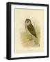 Grass Owl, 1891-Gracius Broinowski-Framed Giclee Print