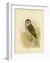 Grass Owl, 1891-Gracius Broinowski-Framed Giclee Print