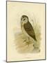 Grass Owl, 1891-Gracius Broinowski-Mounted Giclee Print