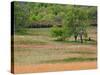 Grass Pattern in Cades Cove, Great Smoky Mountains National Park, Tennessee, USA-Adam Jones-Stretched Canvas