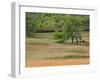 Grass Pattern in Cades Cove, Great Smoky Mountains National Park, Tennessee, USA-Adam Jones-Framed Photographic Print