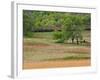 Grass Pattern in Cades Cove, Great Smoky Mountains National Park, Tennessee, USA-Adam Jones-Framed Photographic Print