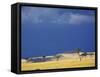 Grass plains and storm clouds over Serengeti, Serengeti National Park, Tanzania-Adam Jones-Framed Stretched Canvas