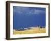 Grass plains and storm clouds over Serengeti, Serengeti National Park, Tanzania-Adam Jones-Framed Photographic Print