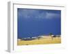 Grass plains and storm clouds over Serengeti, Serengeti National Park, Tanzania-Adam Jones-Framed Photographic Print