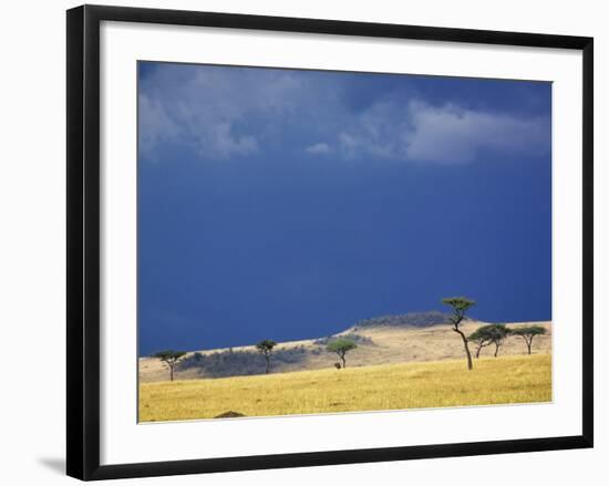 Grass plains and storm clouds over Serengeti, Serengeti National Park, Tanzania-Adam Jones-Framed Photographic Print