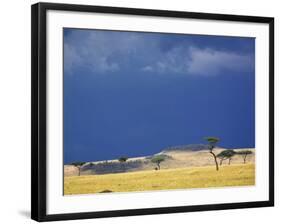 Grass plains and storm clouds over Serengeti, Serengeti National Park, Tanzania-Adam Jones-Framed Photographic Print