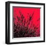 Grass (red), c.2011-Davide Polla-Framed Premium Giclee Print