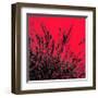 Grass (red), c.2011-Davide Polla-Framed Premium Giclee Print