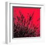 Grass (red), c.2011-Davide Polla-Framed Premium Giclee Print