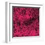 Grass (red), c.2011-Davide Polla-Framed Premium Giclee Print