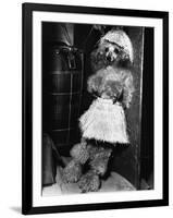 Grass-Skirted Poodle-null-Framed Photographic Print