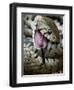 Grass Snake Feigning Death, Hertfordshire, England, UK-Andy Sands-Framed Photographic Print