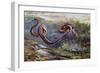 Grass Snake (Natrix Natrix), Colubridae, Drawing-null-Framed Giclee Print