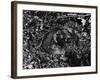 Grass Snake-null-Framed Photographic Print