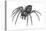 Grass Spider (Agelenopsis), Arachnids-Encyclopaedia Britannica-Stretched Canvas