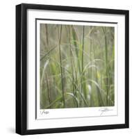 Grass Square 32-Ken Bremer-Framed Limited Edition