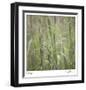 Grass Square 32-Ken Bremer-Framed Limited Edition