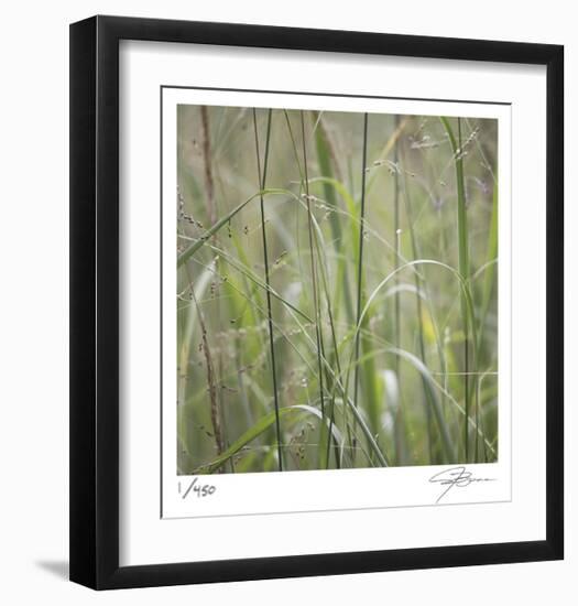 Grass Square 32-Ken Bremer-Framed Limited Edition