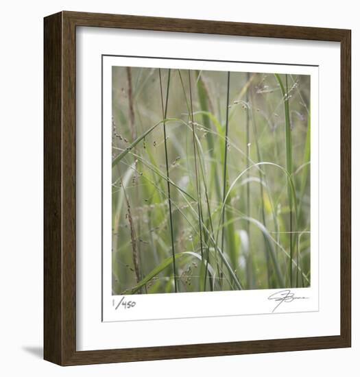 Grass Square 32-Ken Bremer-Framed Limited Edition