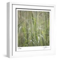 Grass Square 32-Ken Bremer-Framed Limited Edition