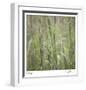 Grass Square 32-Ken Bremer-Framed Limited Edition