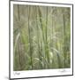 Grass Square 32-Ken Bremer-Mounted Limited Edition