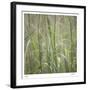 Grass Square 32-Ken Bremer-Framed Limited Edition