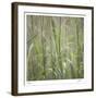 Grass Square 32-Ken Bremer-Framed Limited Edition