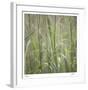 Grass Square 32-Ken Bremer-Framed Limited Edition