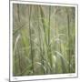 Grass Square 32-Ken Bremer-Mounted Limited Edition