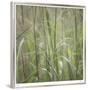 Grass Square 32-Ken Bremer-Framed Limited Edition