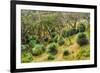 Grass trees, Fleurieu Peninsula, South Australia-Mark A Johnson-Framed Photographic Print