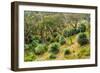 Grass trees, Fleurieu Peninsula, South Australia-Mark A Johnson-Framed Photographic Print