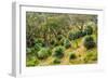 Grass trees, Fleurieu Peninsula, South Australia-Mark A Johnson-Framed Photographic Print