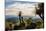 Grass Trees on Mt Kiangarow, Bunya Mountains National Park, Queensland, Australia-Mark A Johnson-Mounted Photographic Print