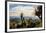 Grass Trees on Mt Kiangarow, Bunya Mountains National Park, Queensland, Australia-Mark A Johnson-Framed Photographic Print