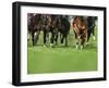 Grass turf horse racing-Maresa Pryor-Framed Photographic Print