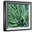 Grass with Morning Dew-Jan Bell-Framed Photographic Print