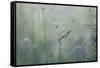 Grass with Seeds-Jean Schwarz-Framed Stretched Canvas