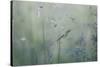 Grass with Seeds-Jean Schwarz-Stretched Canvas