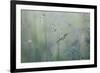 Grass with Seeds-Jean Schwarz-Framed Photographic Print