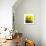 Grass (yellow), c.2011-Davide Polla-Premium Giclee Print displayed on a wall