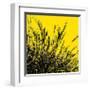 Grass (yellow), c.2011-Davide Polla-Framed Premium Giclee Print