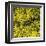 Grass (yellow), c.2011-Davide Polla-Framed Premium Giclee Print