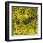 Grass (yellow), c.2011-Davide Polla-Framed Premium Giclee Print